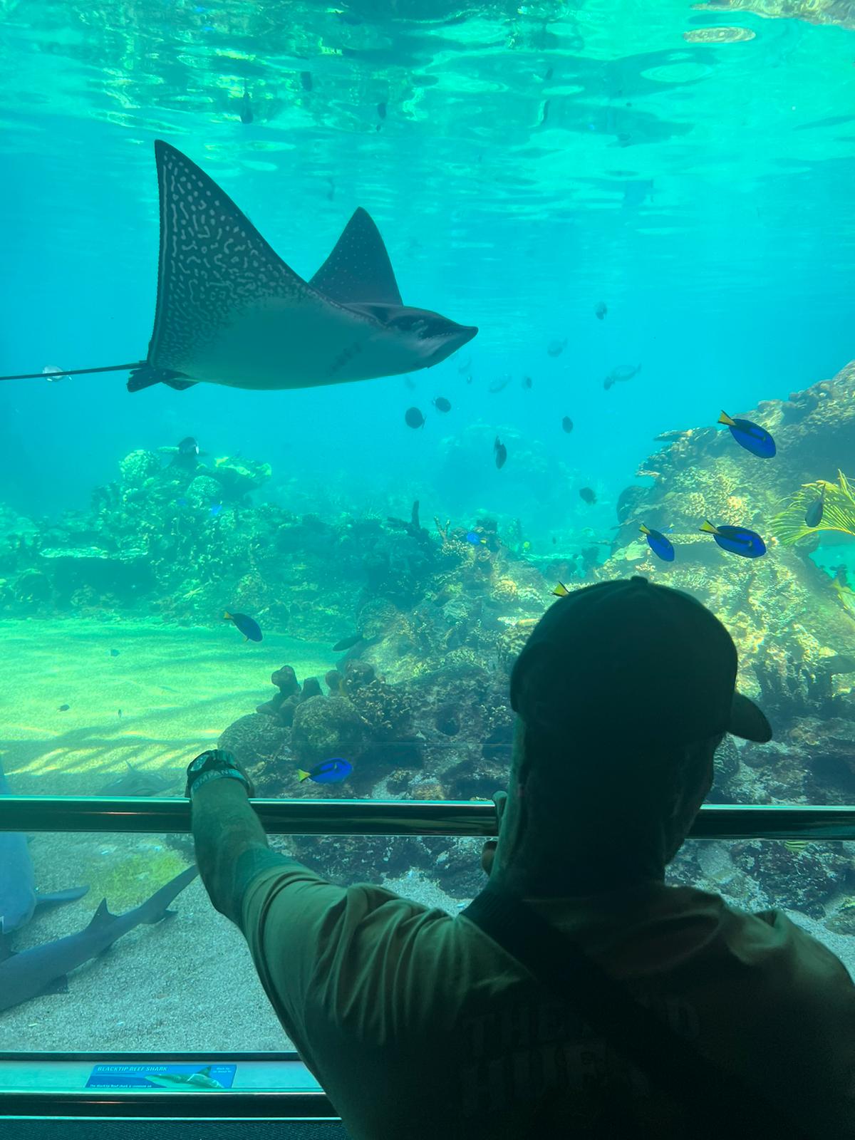 Aquarium visit and community engagement