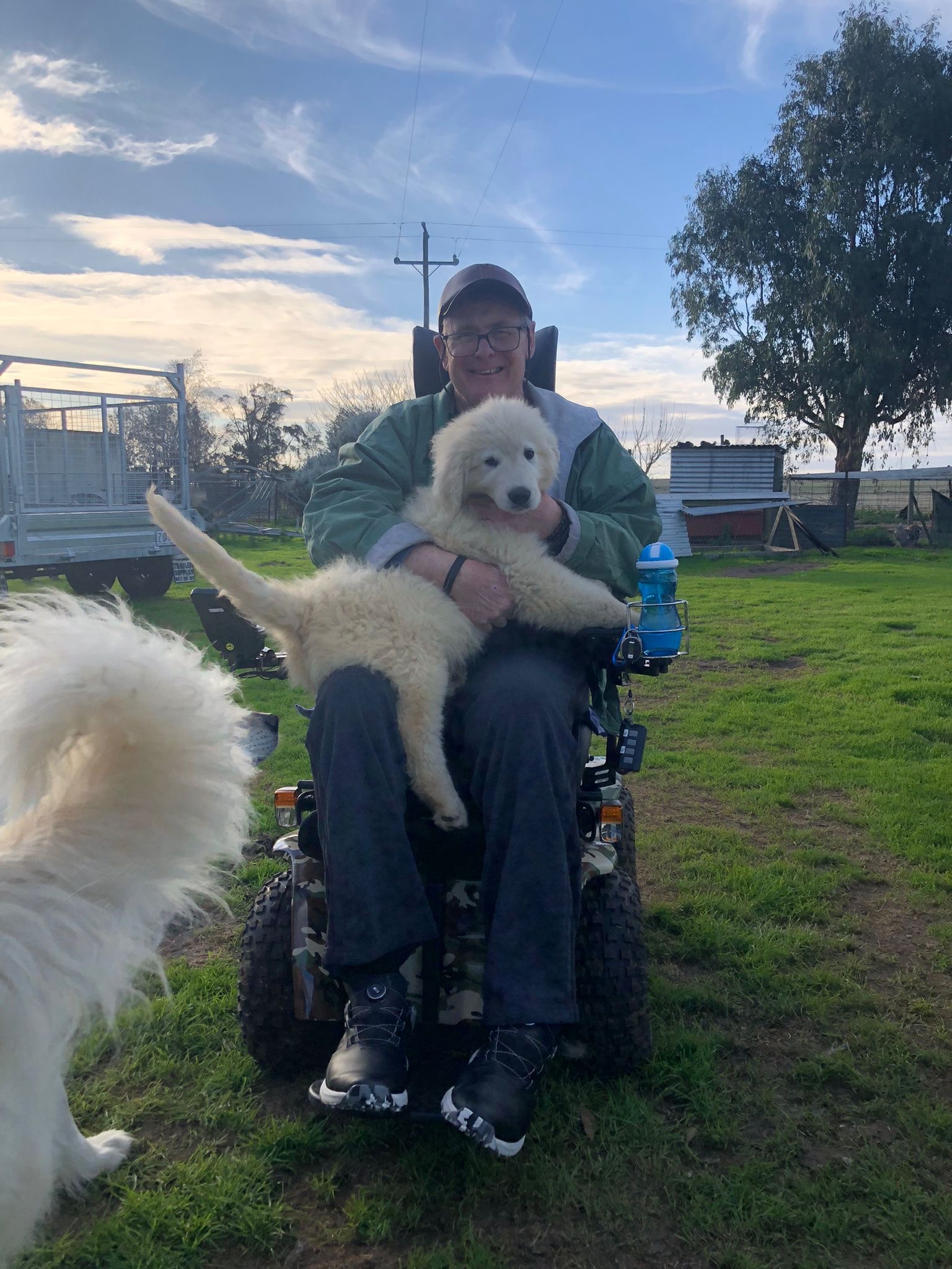 Participant with therapy dogs