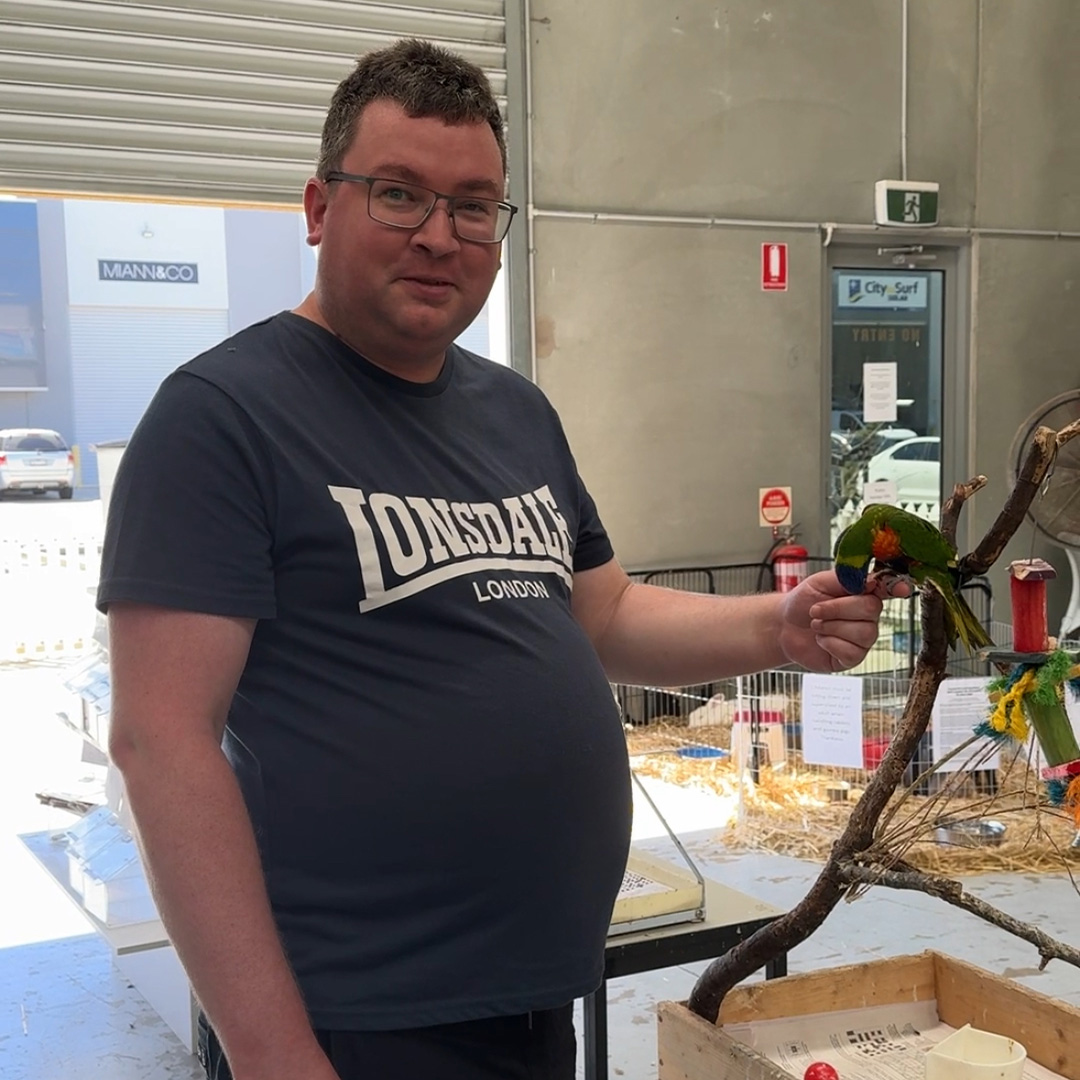 Participant with bird habitat activity