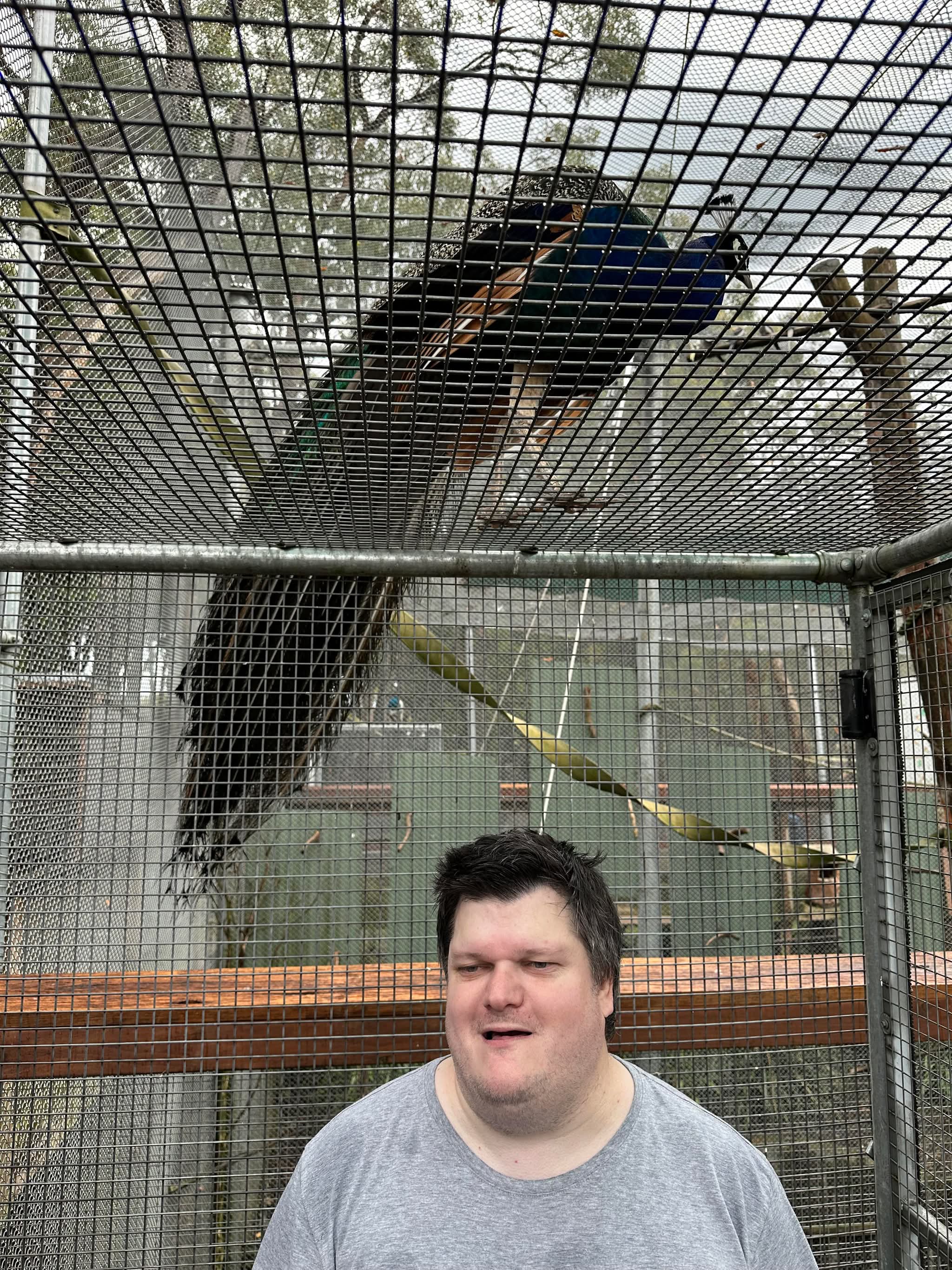 Participant enjoying batting cage activities